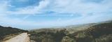 CocaCola